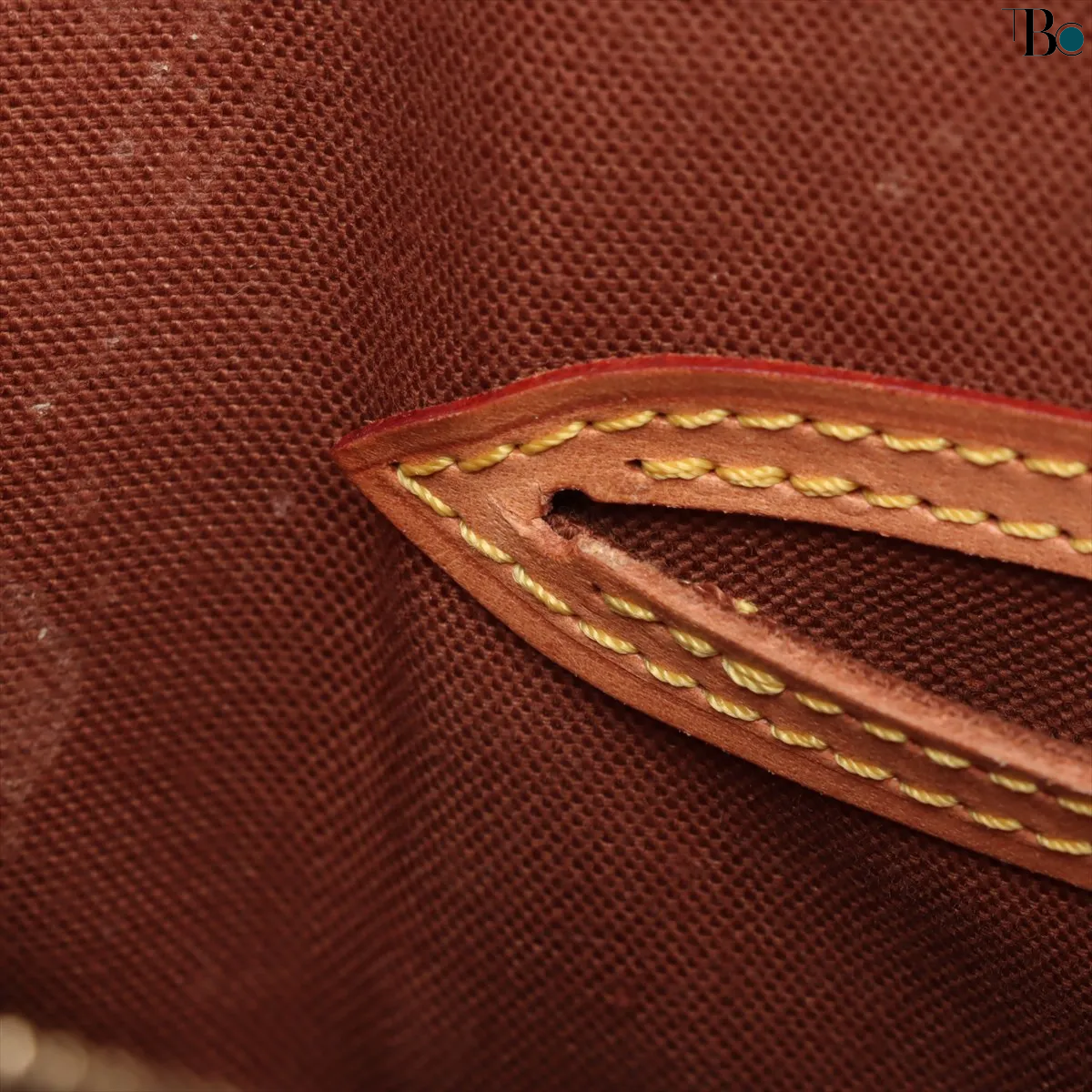 Louis Vuitton Monogram Alma