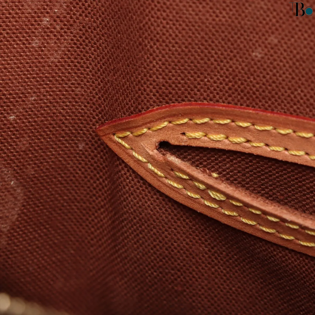 Louis Vuitton Monogram Alma