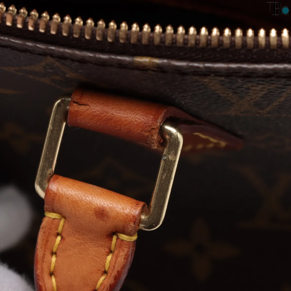 Louis Vuitton Monogram Alma